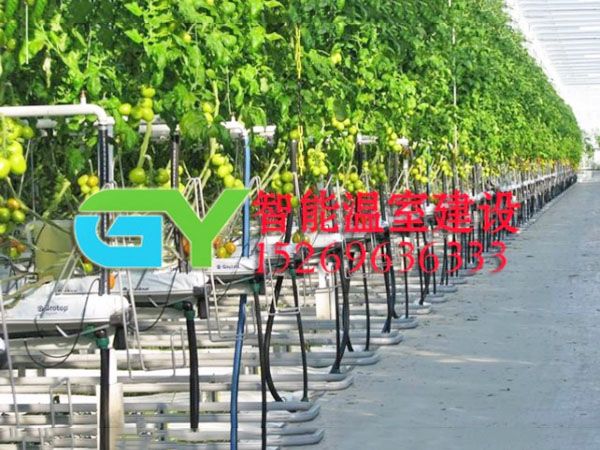 無土栽培設(shè)施